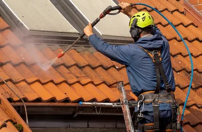 Démoussage et hydrofuge de toiture à Pallu